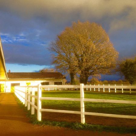 Le Haras Du Favry Διαμέρισμα Palinges Εξωτερικό φωτογραφία