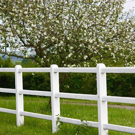 Le Haras Du Favry Διαμέρισμα Palinges Εξωτερικό φωτογραφία