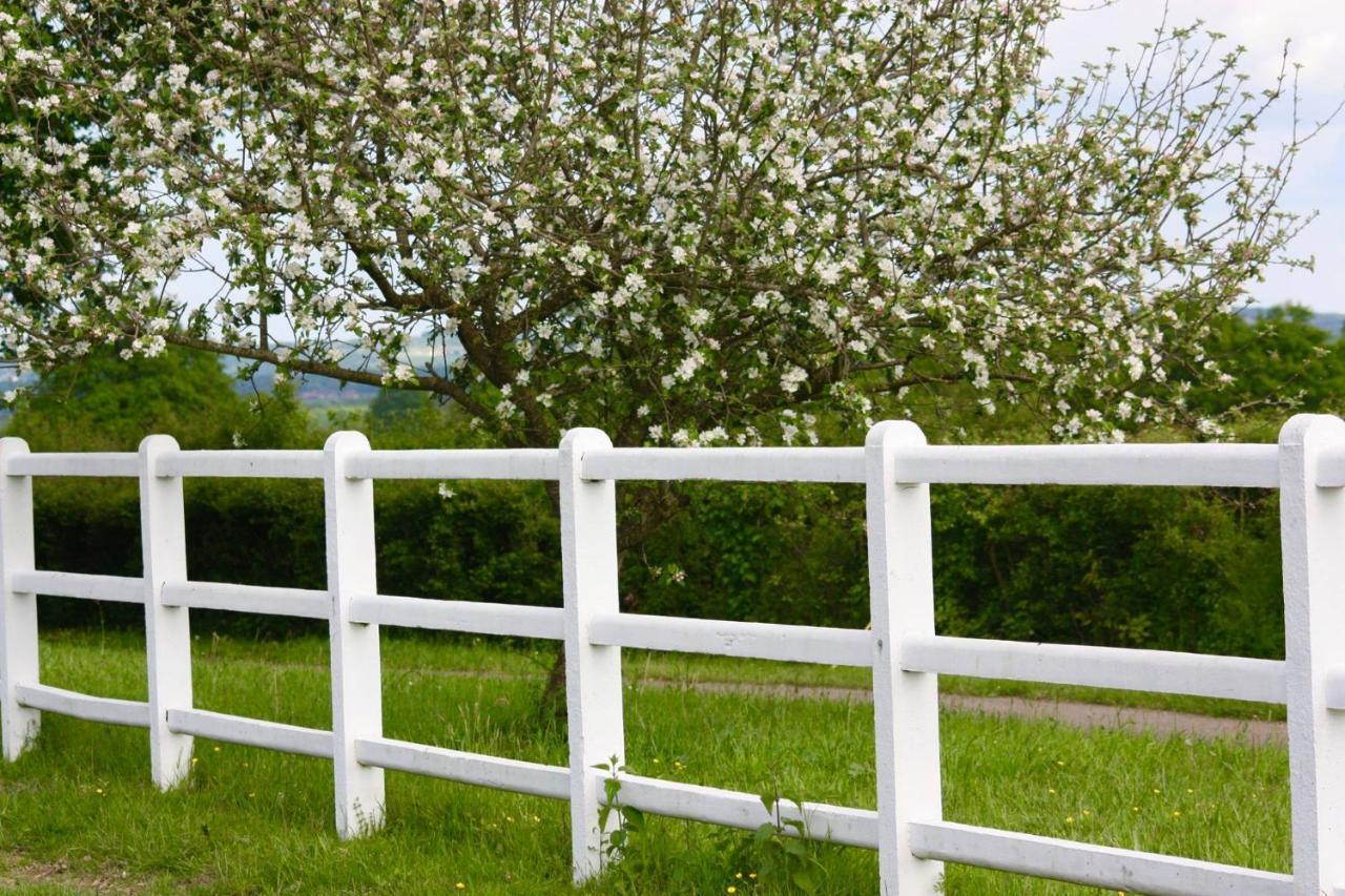 Le Haras Du Favry Διαμέρισμα Palinges Εξωτερικό φωτογραφία