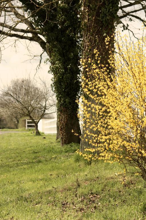 Le Haras Du Favry Διαμέρισμα Palinges Εξωτερικό φωτογραφία