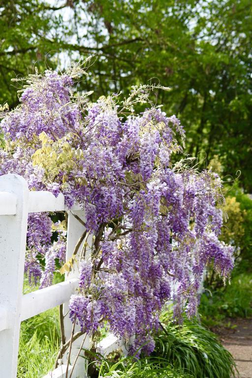 Le Haras Du Favry Διαμέρισμα Palinges Εξωτερικό φωτογραφία